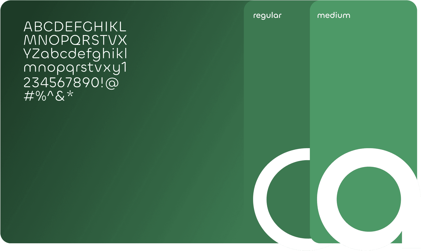 Typeface