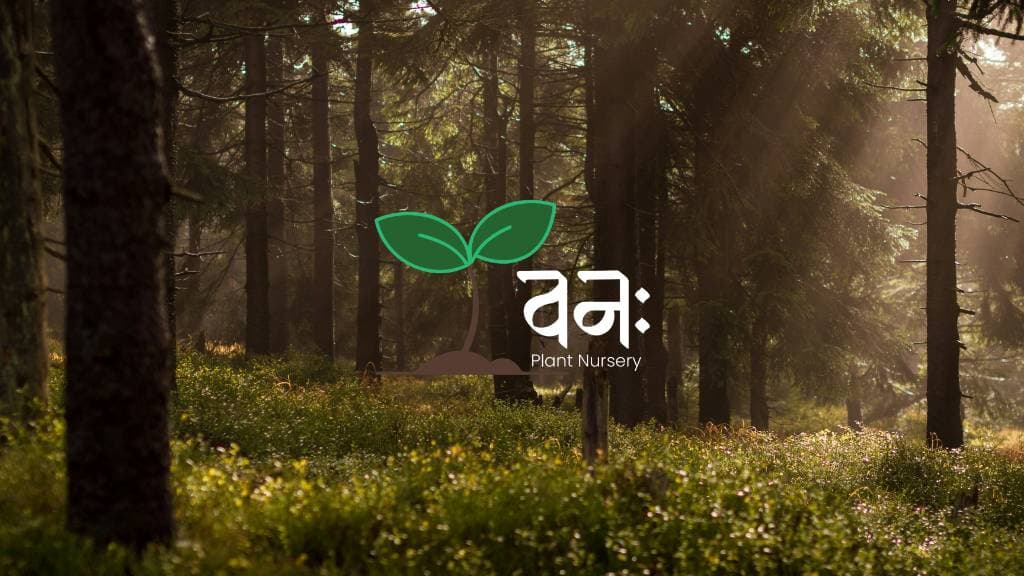 Plant Nursery Brand Identity Design